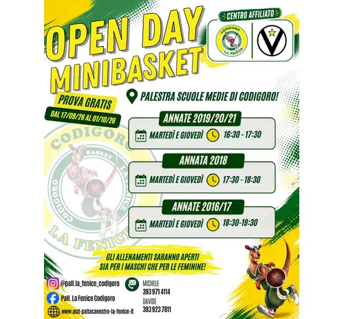 OPEN DAY MINI BASKET