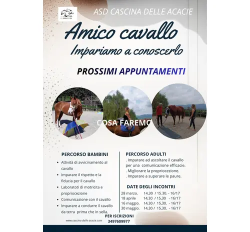 AMICO CAVALLO   IMPARIAMO  A CONOSCERLO