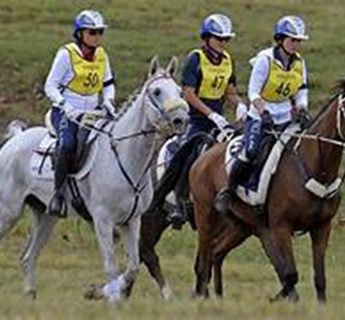 Gara di Endurance