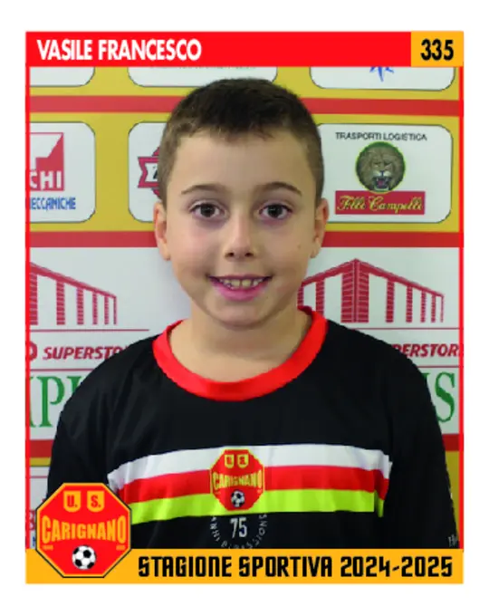 Vasile Francesco
