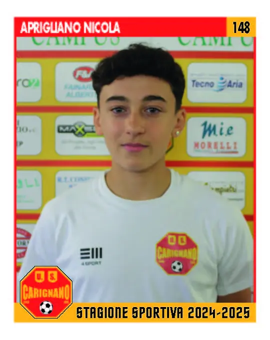 Aprigliano Nicola