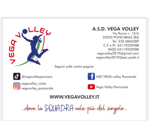 STRISCIONE VEGA VOLLEY