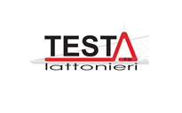 Testa