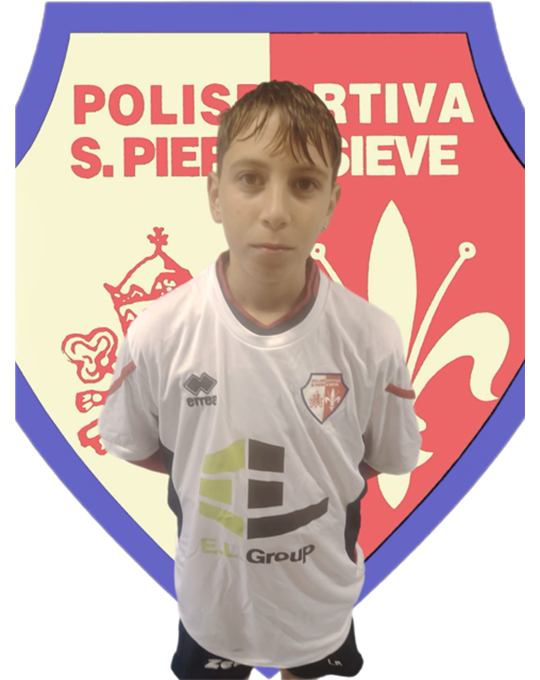 Pini Lapo