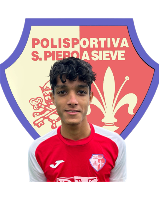 Mino Santi
