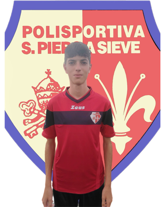 Collini Paolo