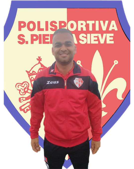 Metaj Sivi