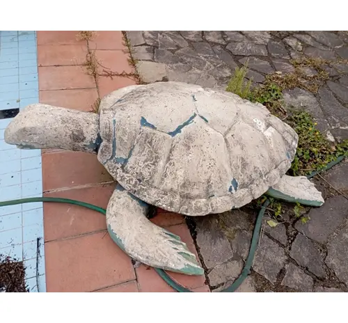 Primo Trofeo Maria Cacace