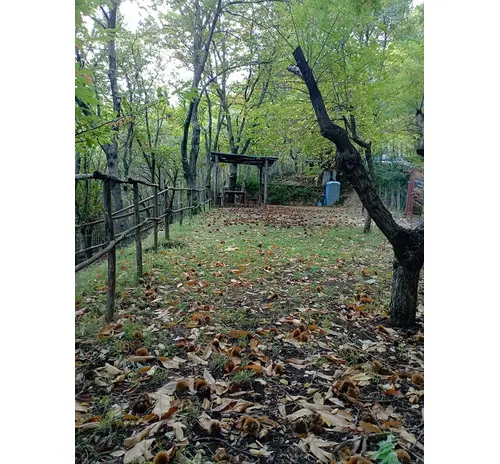 Campo di tiro tecnico