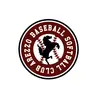 >AREZZO BASEBALL (Gara 1)