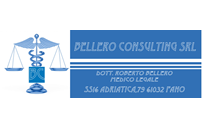BELLERO CUNSULTING