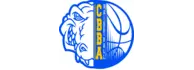Benvenuti sul sito ufficiale del CBBA Cologno basket e minibasket
