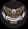 Vicenza eagles