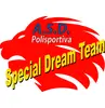 >SPECIAL DREAM TEAM