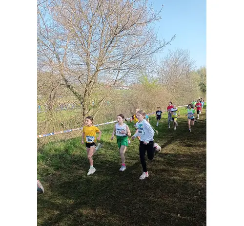 CAMPIONATO NAZIONALE CSI