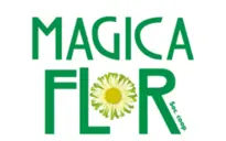 Magic Flor Magic Flor