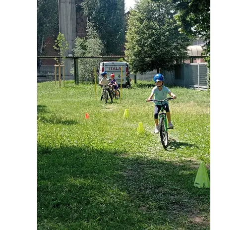 Attività nelle scuole