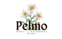 HOTEL AL PELMO HOTEL AL PELMO