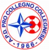 Pro Collegno