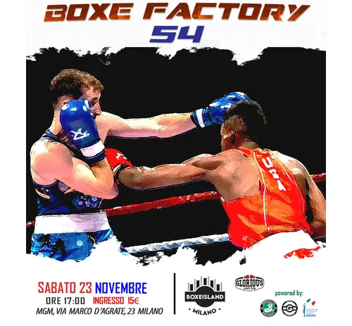 Boxe Factory Pro