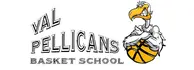 Valpellicans