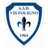 VIS FOLIGNO