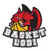 >BASKET LODI