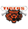 TIGERS CERVIGNANO