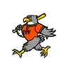 TORRE PEDERERA FALCONS