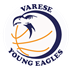 Benvenuti nel sito ufficiale di Varese Young Eagles