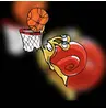 THE SNAILS